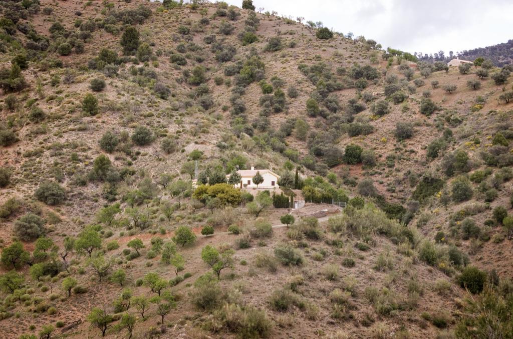 Rural Montes Malaga: Finca Pedregales חדר תמונה